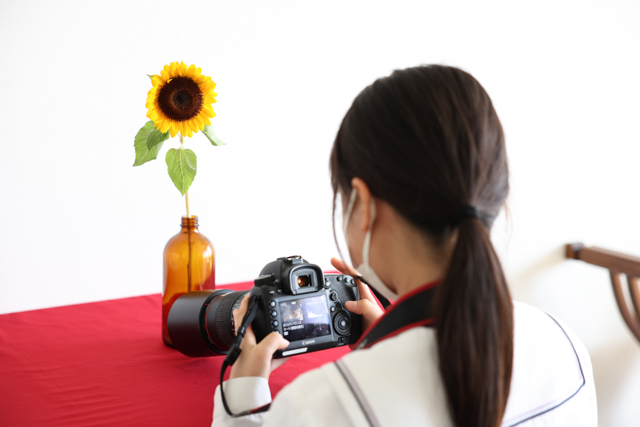 日本写真映像専門学校　写専　SHASEN　大阪　写真　専門学校　願書受付中　一眼レフ ミラーレス　カメラ　カメラマン　フォトグラファー　花　オープンキャンパス　スタジオ　室内撮影